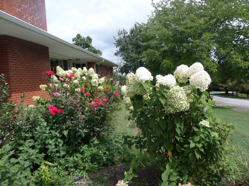 101 Lehigh Lane Oak Ridge, TN 37830 - Photo 3 of 25 SAM_8899