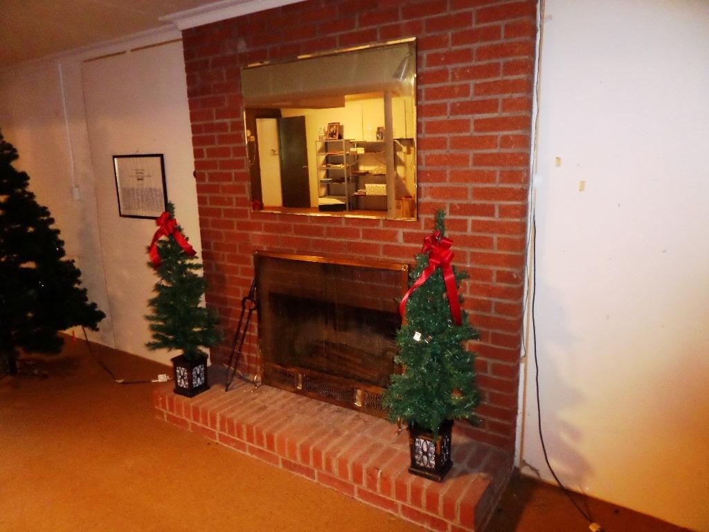 101 Lehigh Lane Oak Ridge, TN 37830 - Photo 22 of 25 recroomfireplace