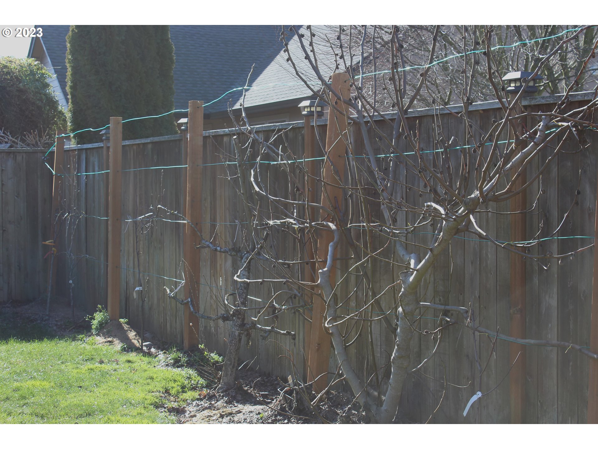 1186 South 41st Street Springfield, OR 97478 - Photo 16 of 17 Gallery Image 16