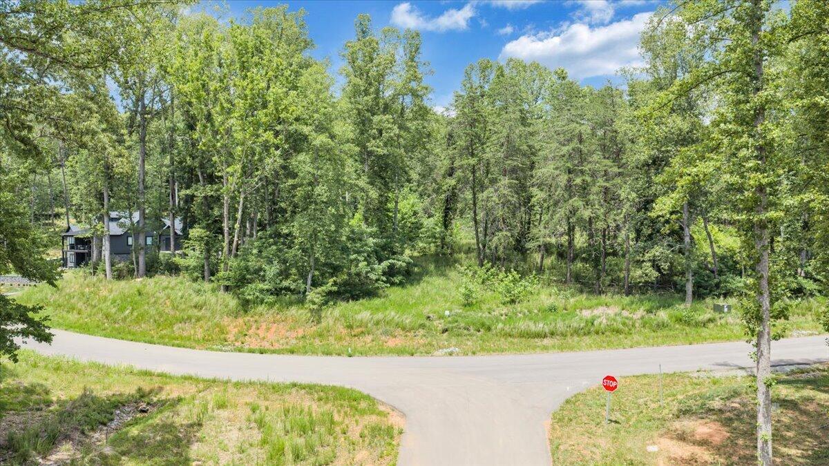 Lot 85 Crestview Road Wirtz, VA 24184 - Photo 12 of 23 15-DJI_20260614140703_0001_D