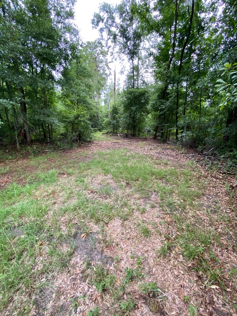 2242 Coot Adams Road Ashford, AL 36312 - Photo 21 of 39