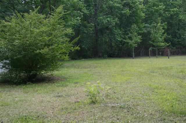 1171 Gillison Branch Road Pineland, SC 29934 - Photo 4 of 4 Additional Photo