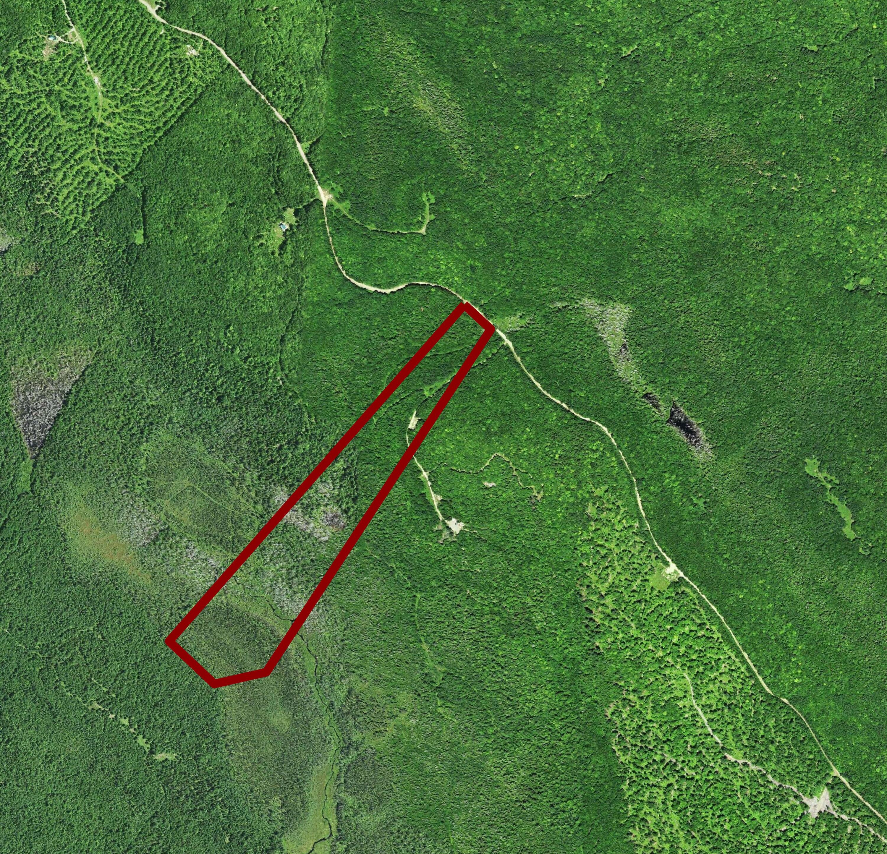 Lot 19 Upper Dobsis Road Lakeville, ME 04487 - Photo 11 of 11 Upper Dobsis Road Aerial (1)