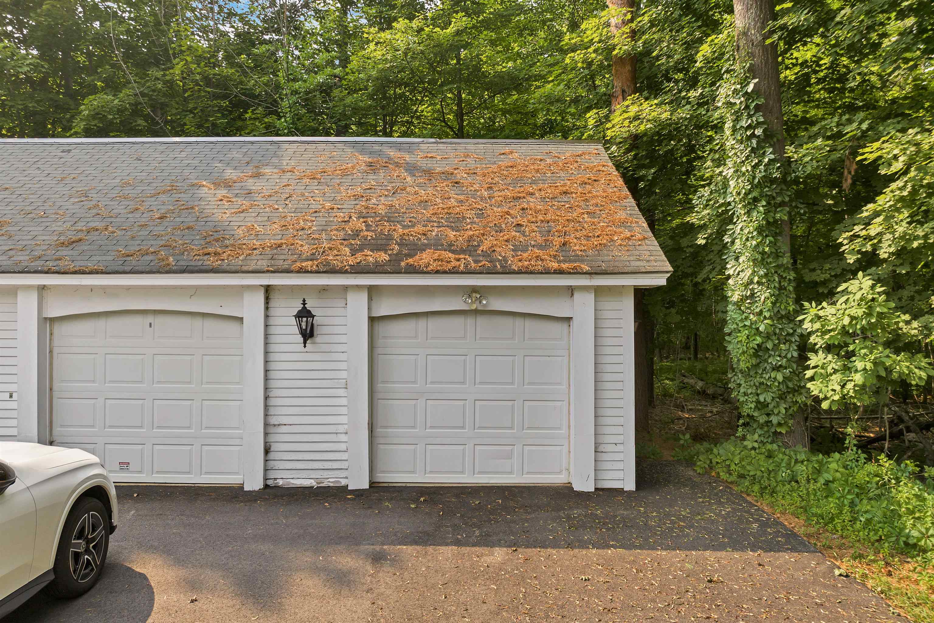 1 Farmhouse Road, Unit 1 Wolfeboro, NH 03894 - Photo 34 of 44 Gallery Image 34