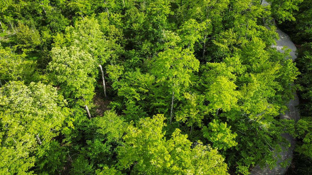 Tbd Lot4 Isle View Road Ellison Bay, WI 54210 - Photo 7 of 20