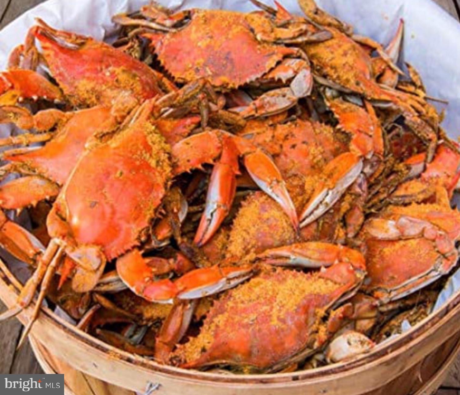 3434 Marsh Road Ewell, MD 21824 - Photo 15 of 15