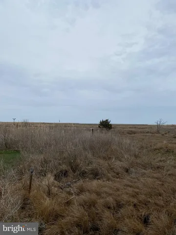 a view of ocean and green field