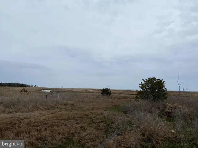 a number plate image