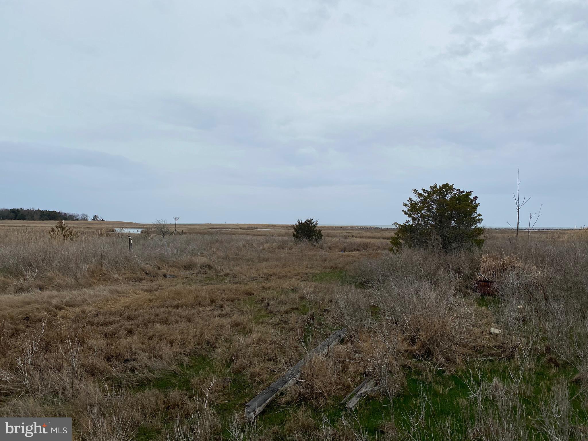 3434 Marsh Road Ewell, MD 21824 - Photo 5 of 15 a view of a field of grass and trees