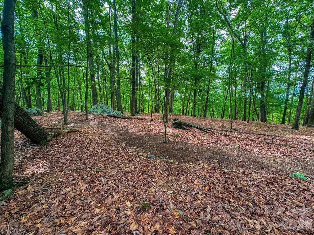 1616 Sierra Trace Road Denton, NC 27239 - Photo 15 of 42 Gallery Image 15