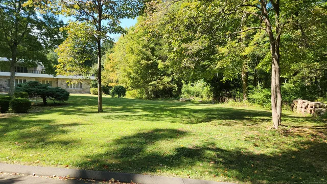 a view of a tree in a yard