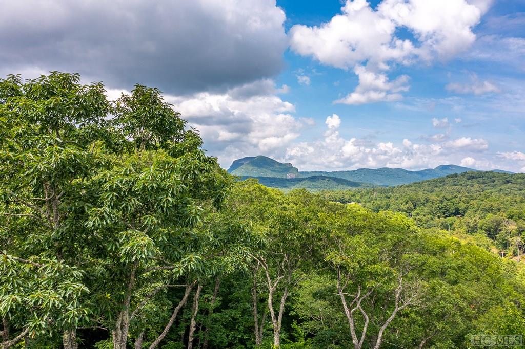 56 Ramble Rdg Road Cashiers, NC 28717 - Photo 40 of 40 Gallery Image 40