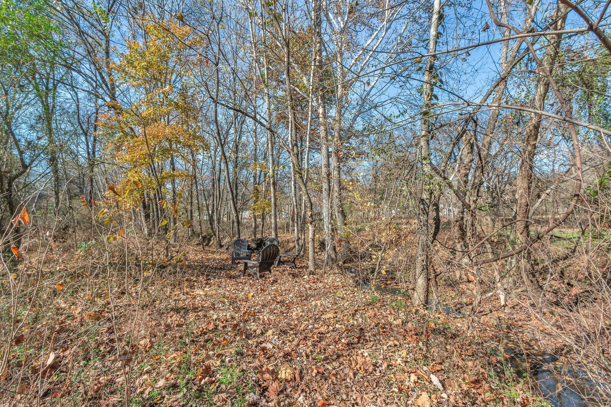 529 Katelyn Drive South Spring Hill, TN 37174 - Photo 44 of 52