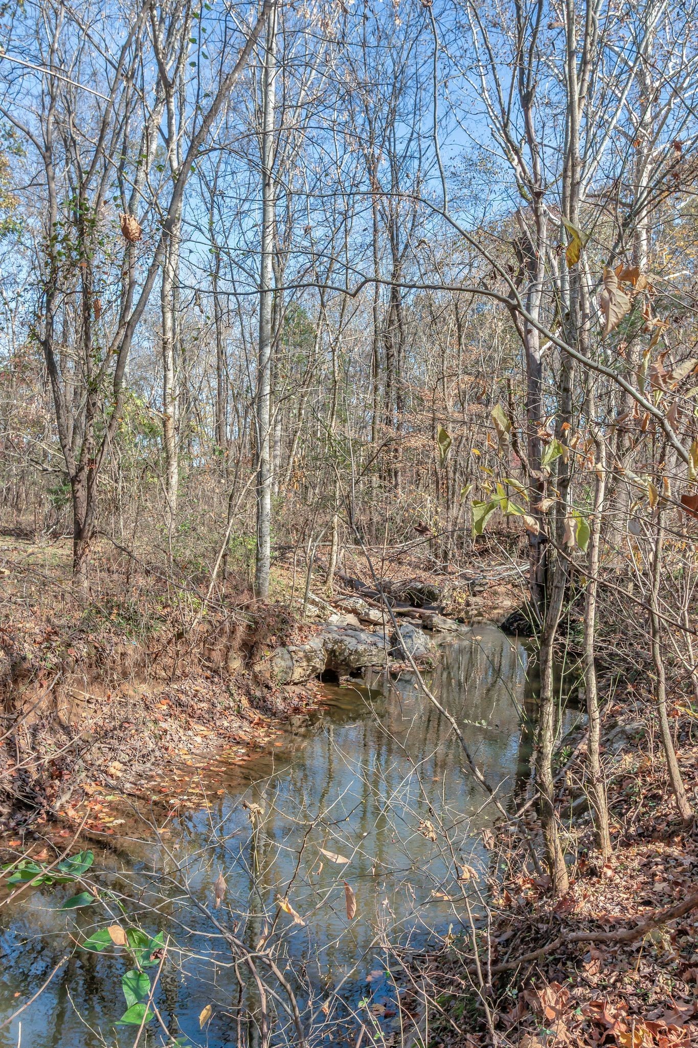 529 Katelyn Drive South Spring Hill, TN 37174 - Photo 45 of 52