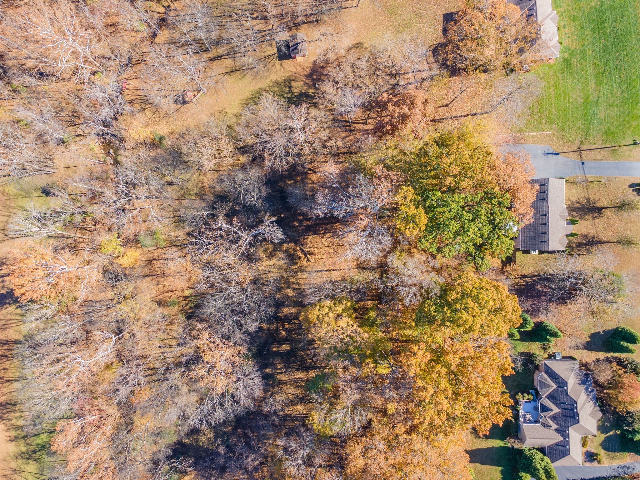 529 Katelyn Drive South Spring Hill, TN 37174 - Photo 49 of 52