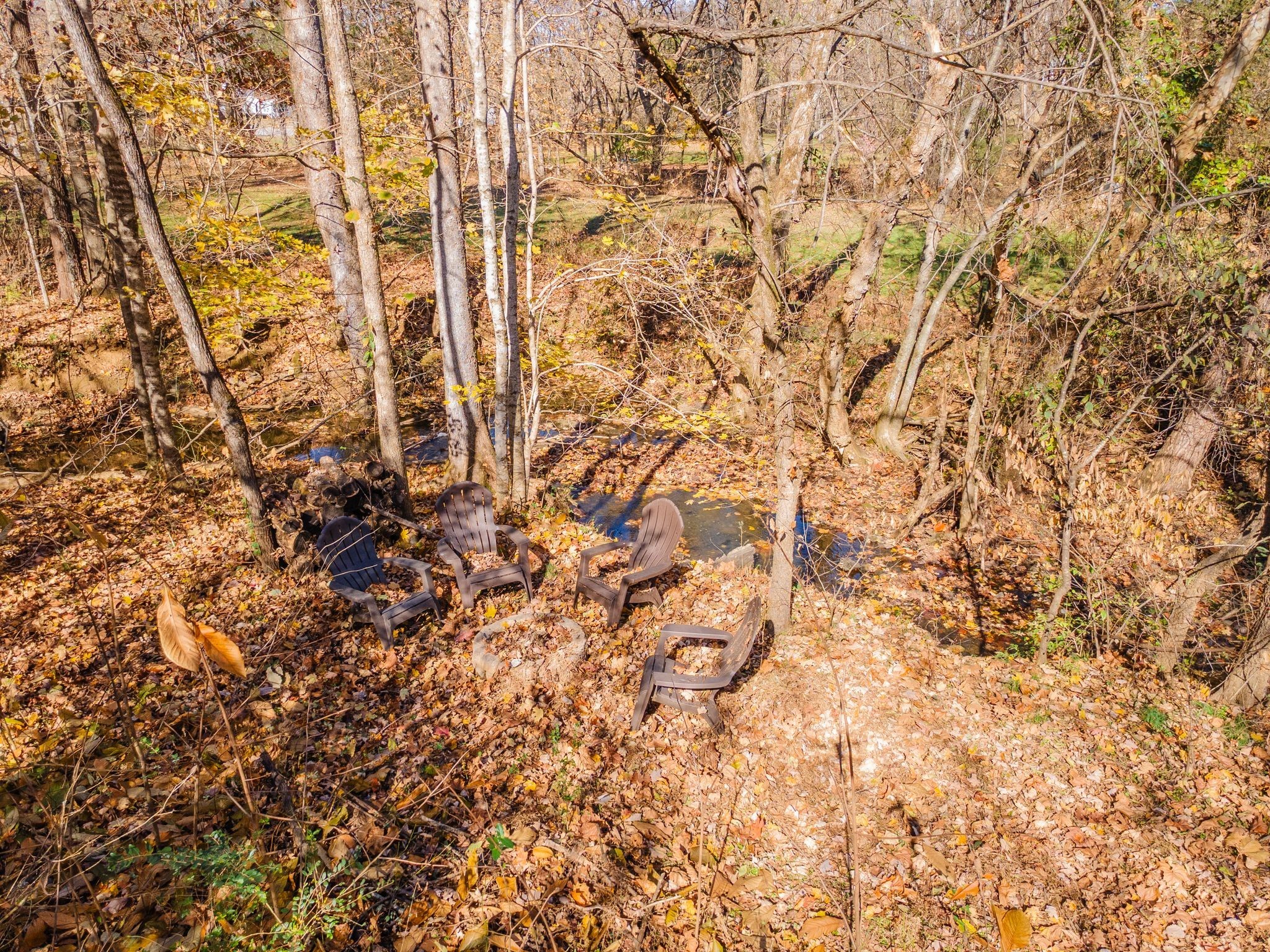 529 Katelyn Drive South Spring Hill, TN 37174 - Photo 50 of 52