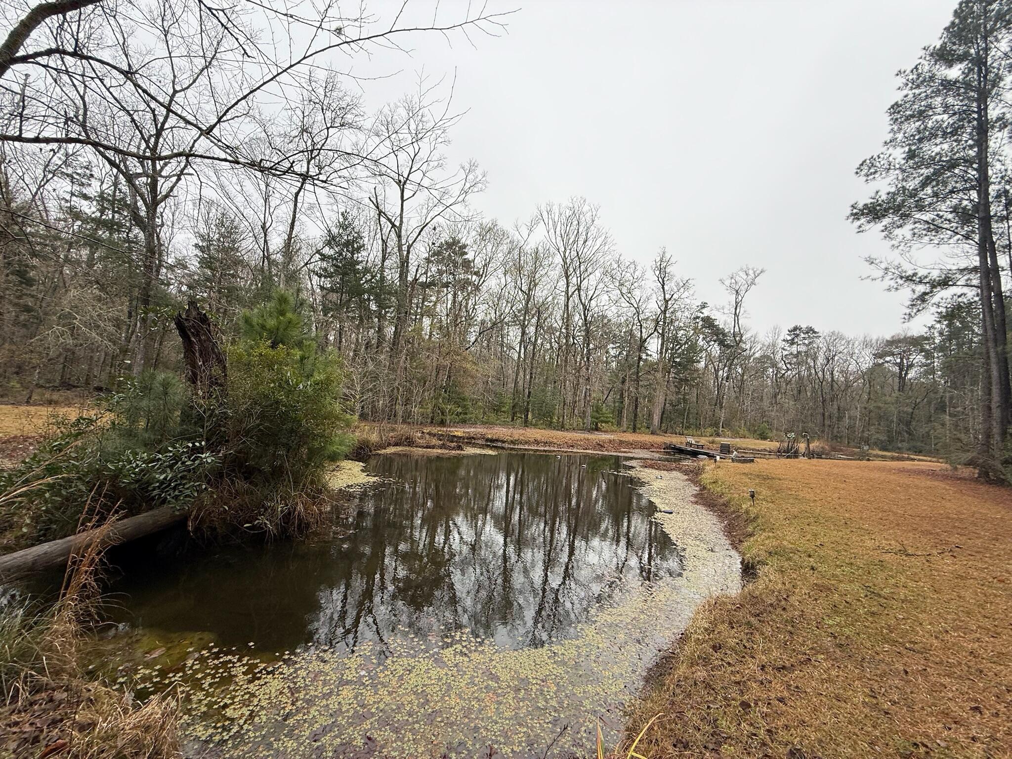 8995 Greenwood Road Adams Run, SC 29426 - Photo 66 of 66