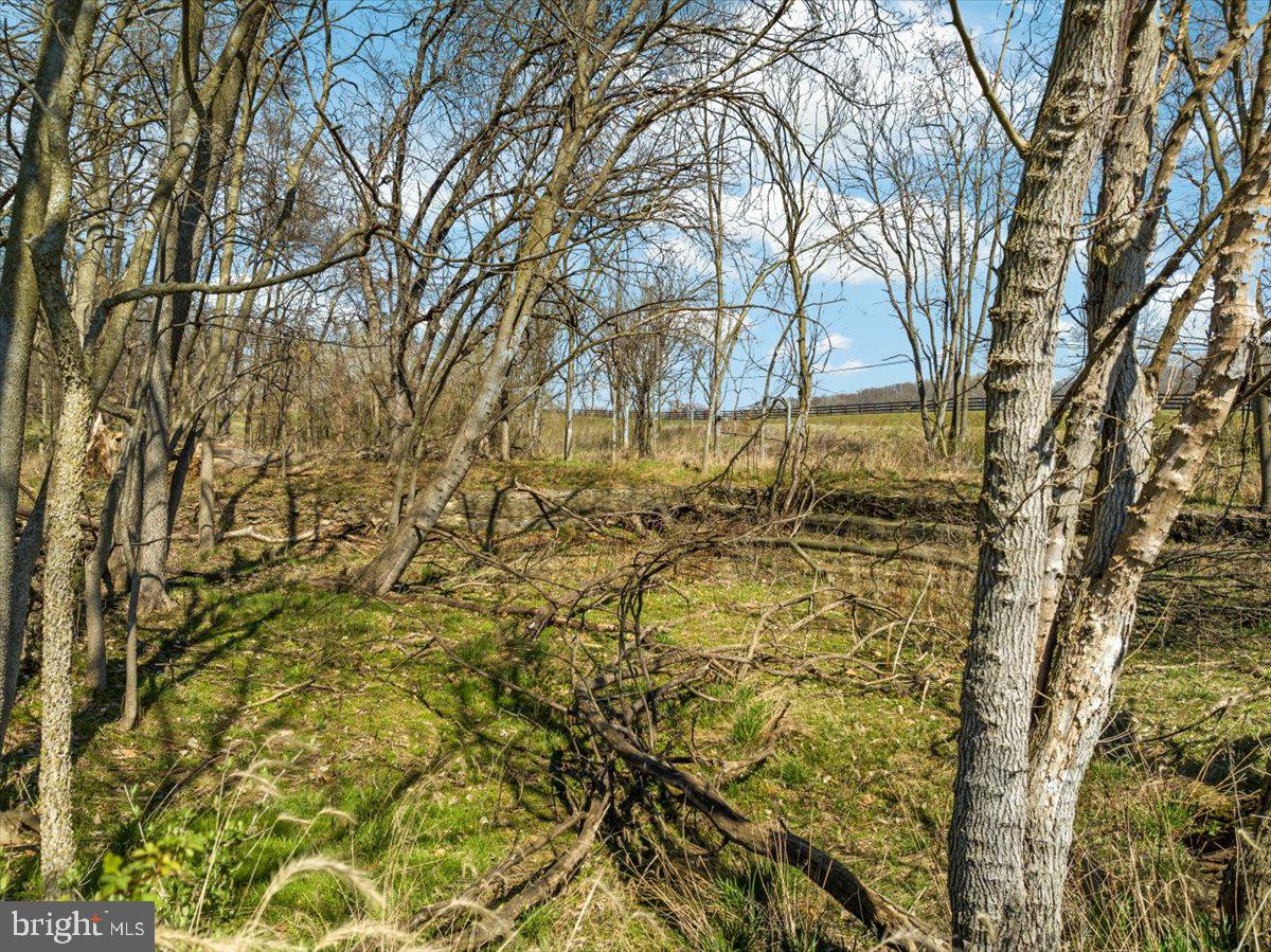 Lot 9 Jones Road Winchester, VA 22602 - Photo 11 of 14 Gallery Image 11