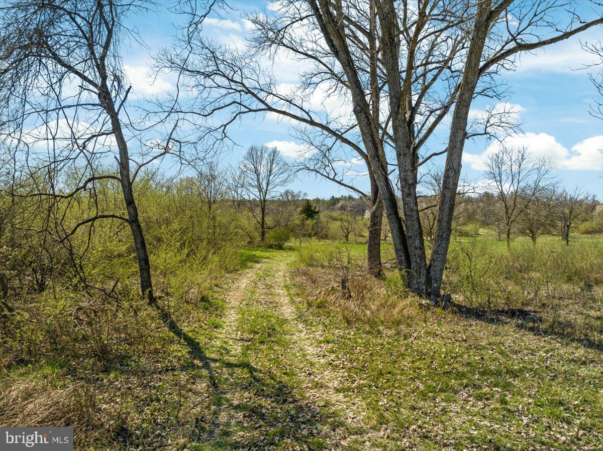Lot 9 Jones Road Winchester, VA 22602 - Photo 5 of 14 Gallery Image 5