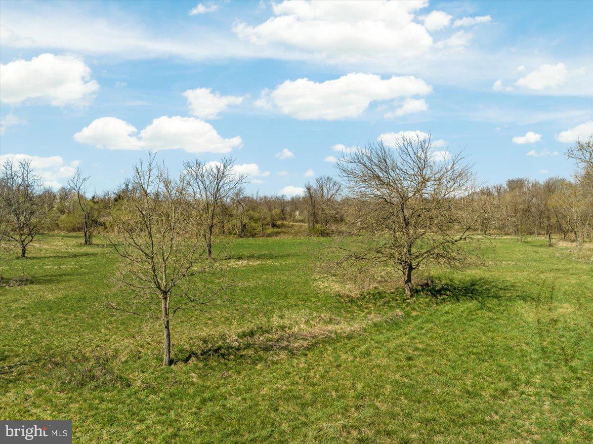 Lot 9 Jones Road Winchester, VA 22602 - Photo 6 of 14 Gallery Image 6