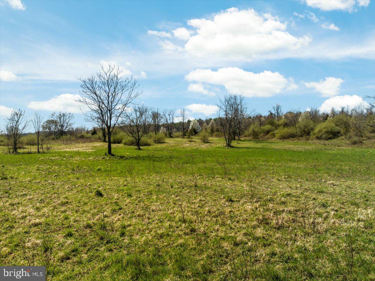 Lot 9 Jones Road Winchester, VA 22602 - Photo 10 of 14 Gallery Image 10