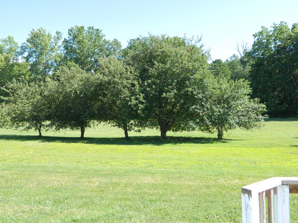1084 Riverside Road Chilhowie, VA 24319 - Photo 47 of 62 Gallery Image 47