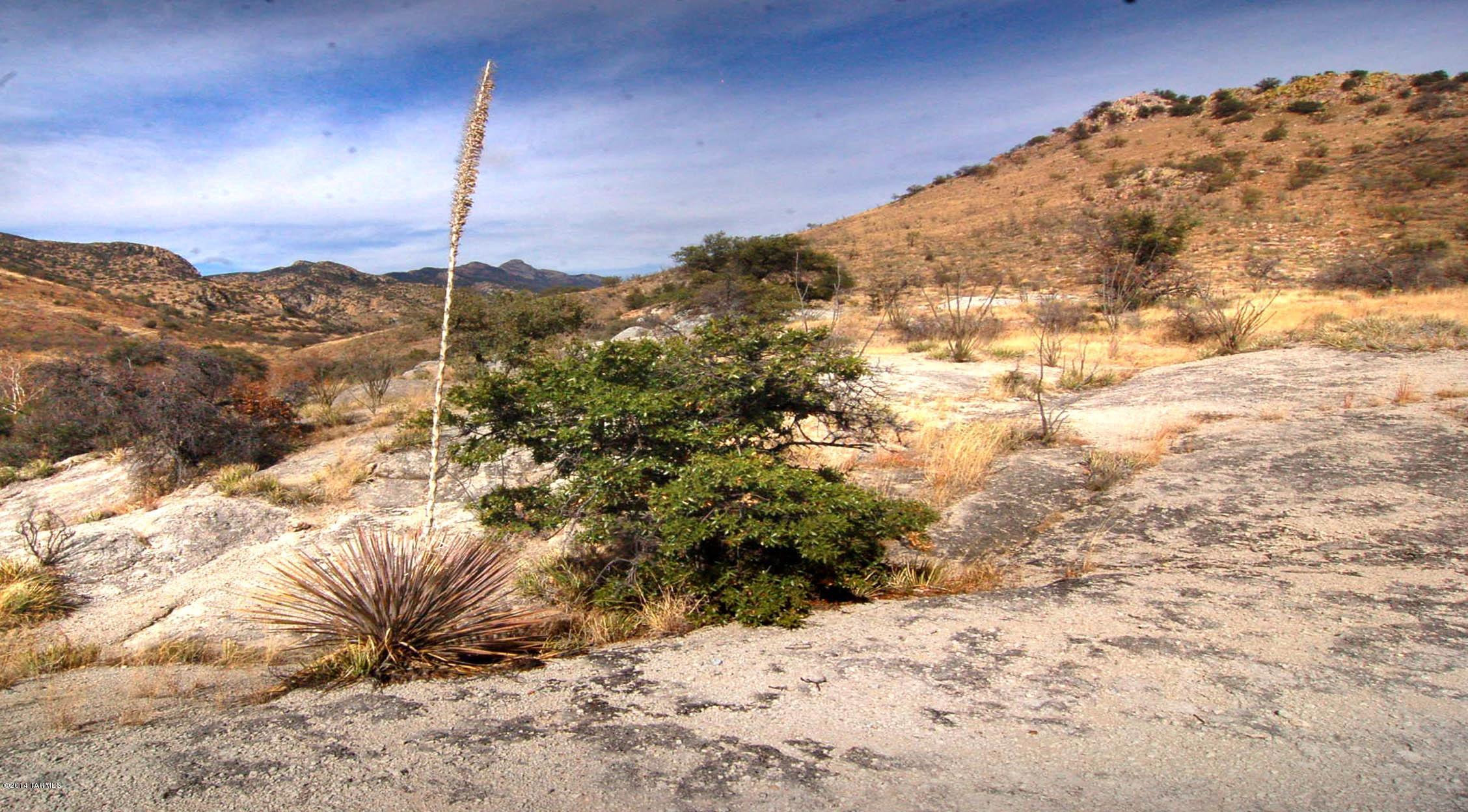Canyon Road Patagonia, AZ 85624 - Photo 26 of 34