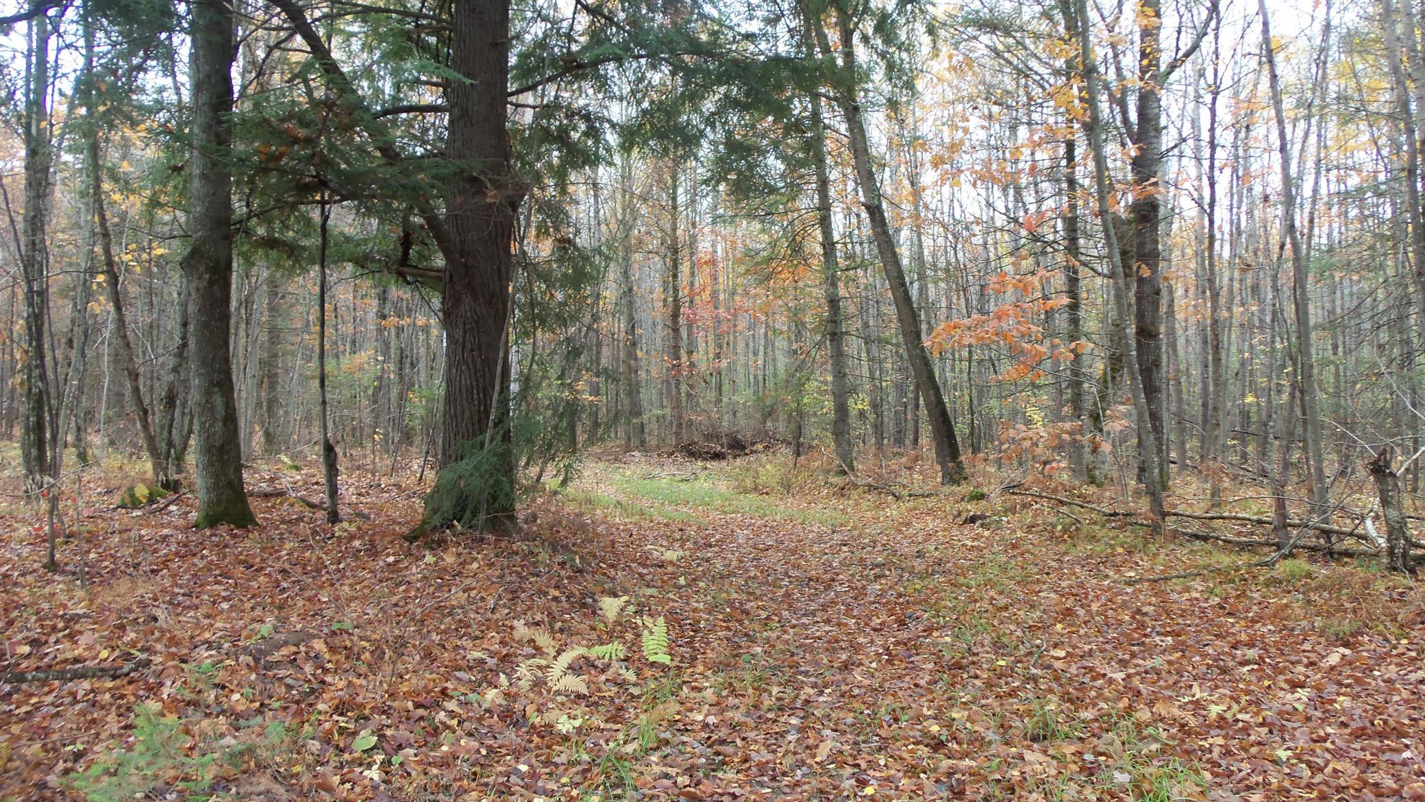 Xxx Flambeau Road Ladysmith, WI 54848 - Photo 1 of 1 Gallery Image 1