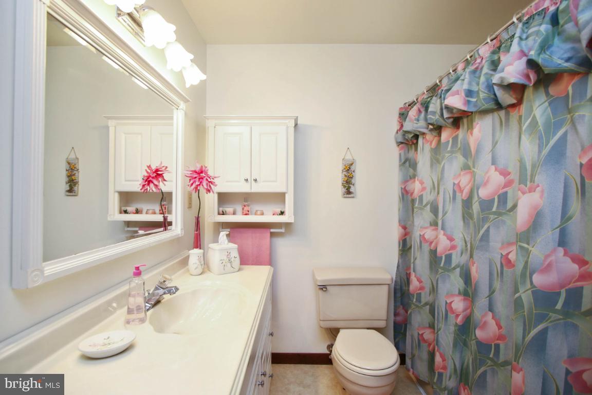 2228 Ridgemont Drive Finksburg, MD 21048 - Photo 22 of 40 Hall Bathroom