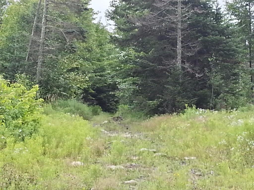 176 Back Street Newry, ME 04261 - Photo 6 of 14 Photo
