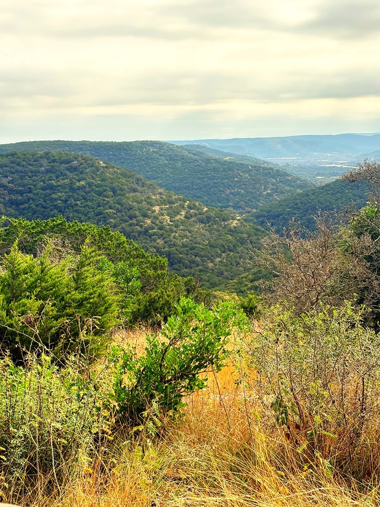 Tbd Tbd Other Leakey, TX 78873 - Photo 46 of 59