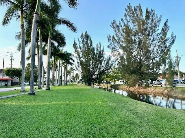 a view of a park with palm trees