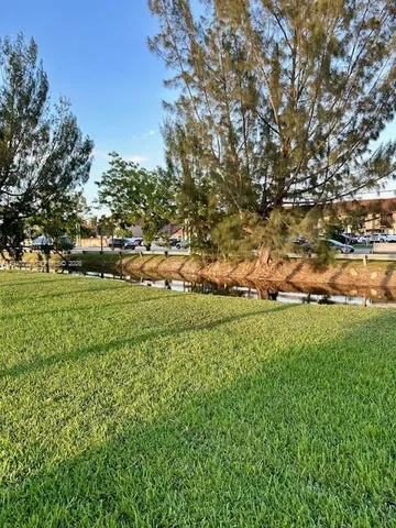 a view of a field with large trees