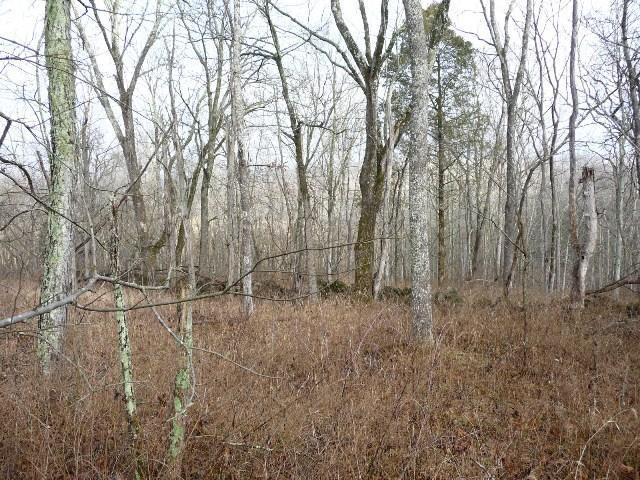 0 Mussel Shoals Road Owenton, KY 40359 - Photo 2 of 6 Gallery Image 2