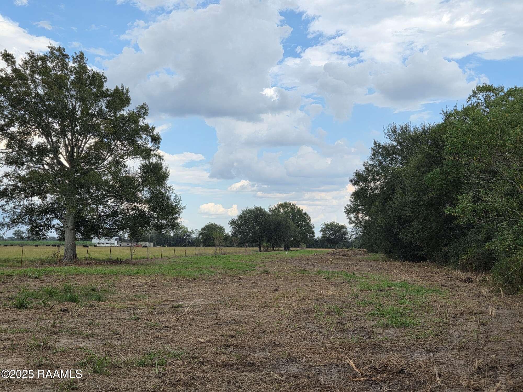 302 Lacassine Road Scott, LA 70583 - Photo 10 of 26 8