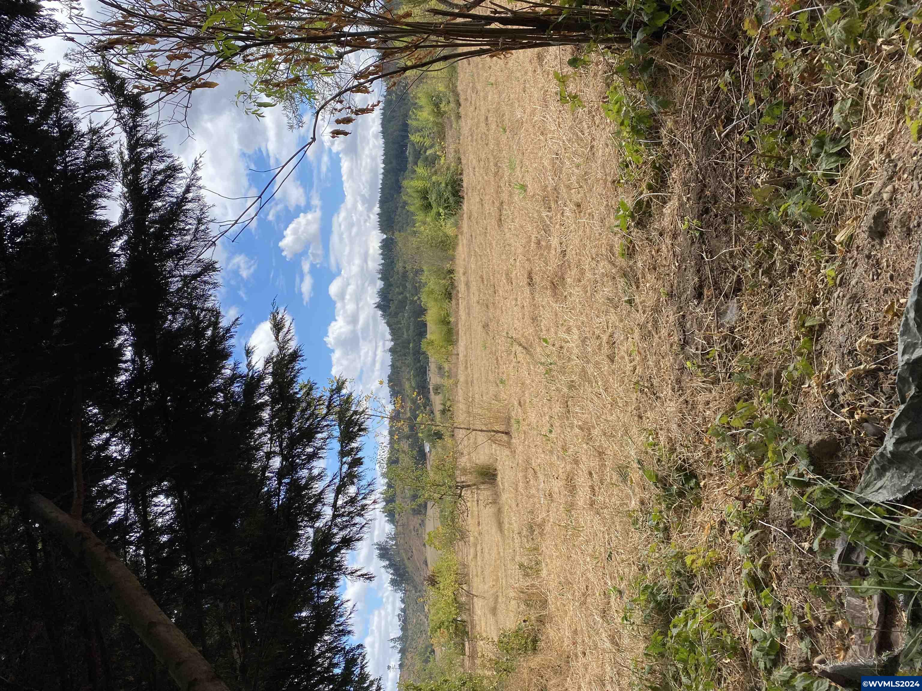 99 W Highway Corvallis, OR 97330 - Photo 12 of 12