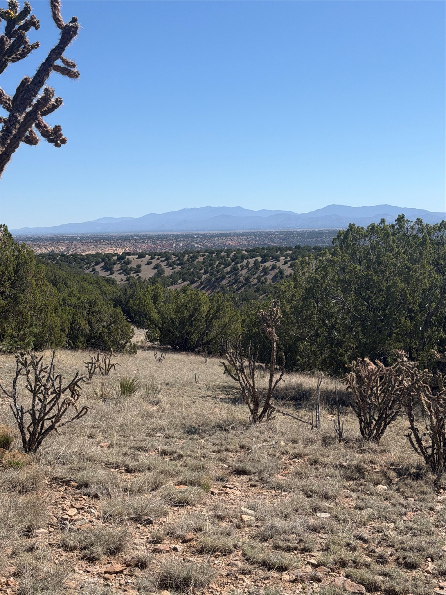 7 C Rancho De Shama, Unit B Cerrillos, NM 87010 - Photo 4 of 26