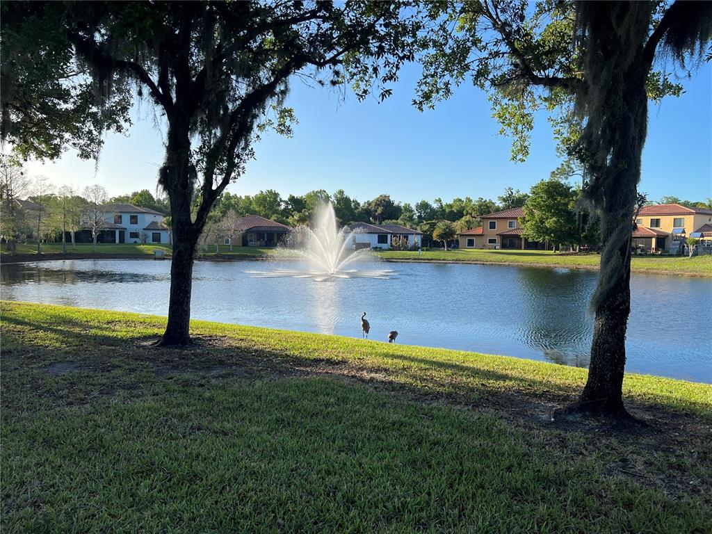 714 Riviera Bella Drive DeBary, FL 32713 - Photo 48 of 50 a view of swimming pool with a yard and lake view