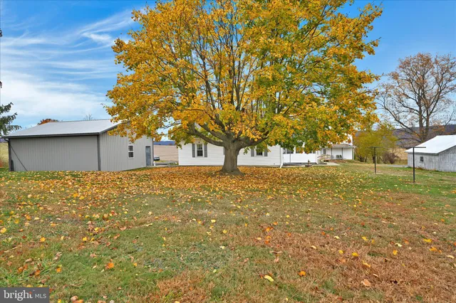 a view of backyard with green space