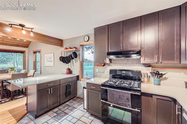 83 Aspen Village Road Divide, CO 80814 - Photo 7 of 32 Gallery Image 7