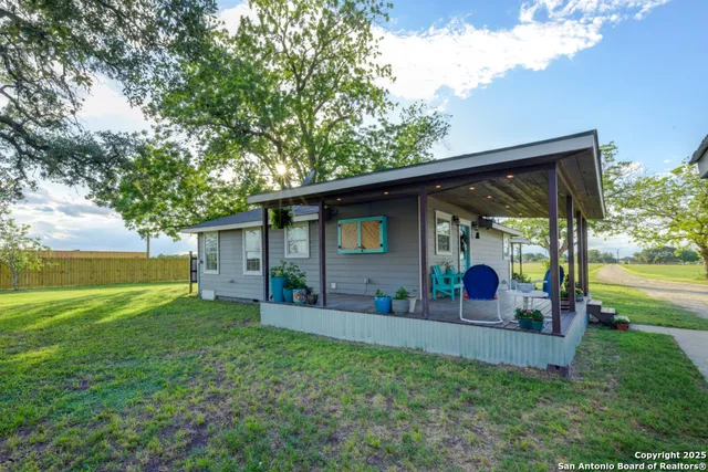 a view of a big yard with plants and large trees