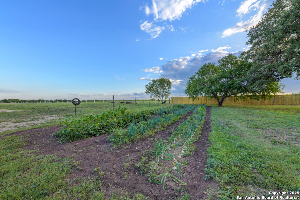 15592 Miller Road St. Hedwig, TX 78152 - Photo 41 of 47 a view of a golf course with green space