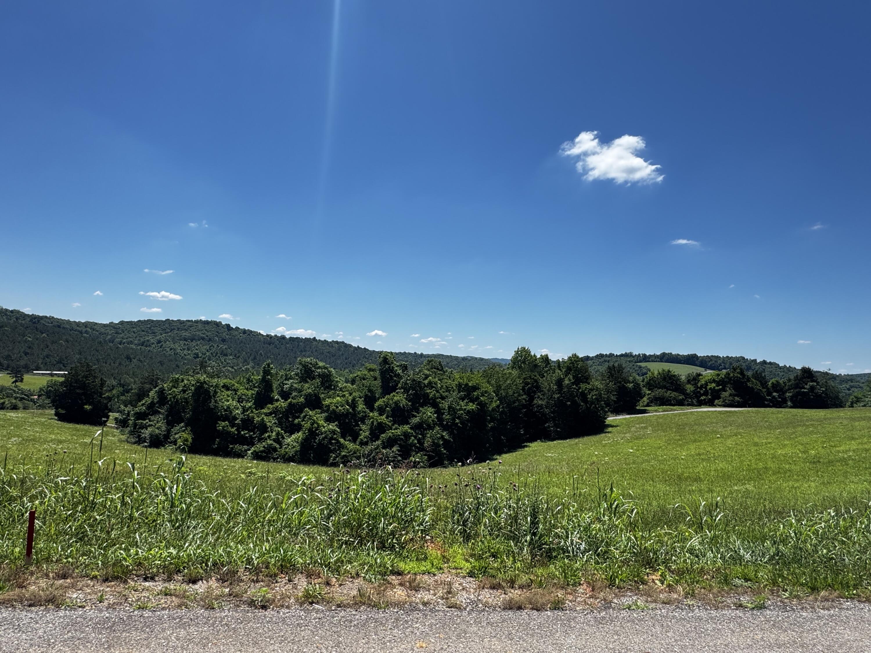 0 The Gates Drive, Unit LOT 44 Decatur, TN 37322 - Photo 1 of 10 IMG_7937