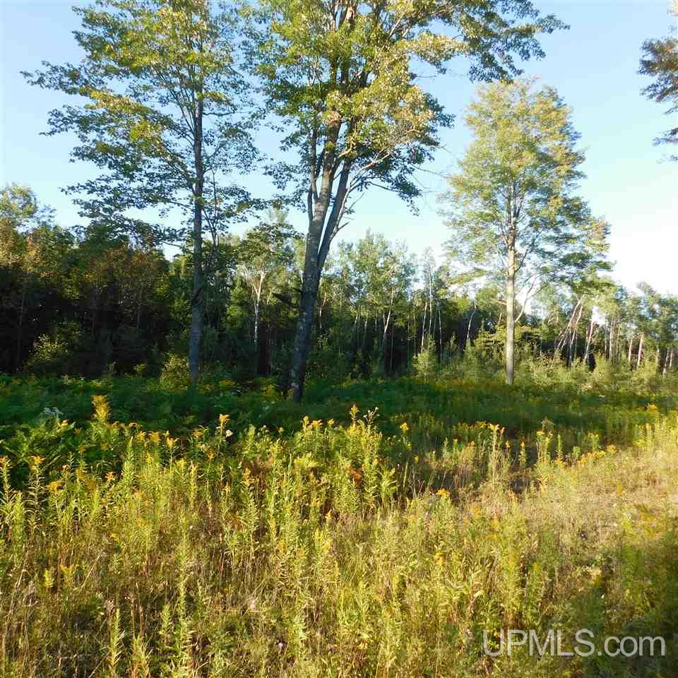 Tbd Off Murray Road Perronville, MI 49873 - Photo 21 of 27