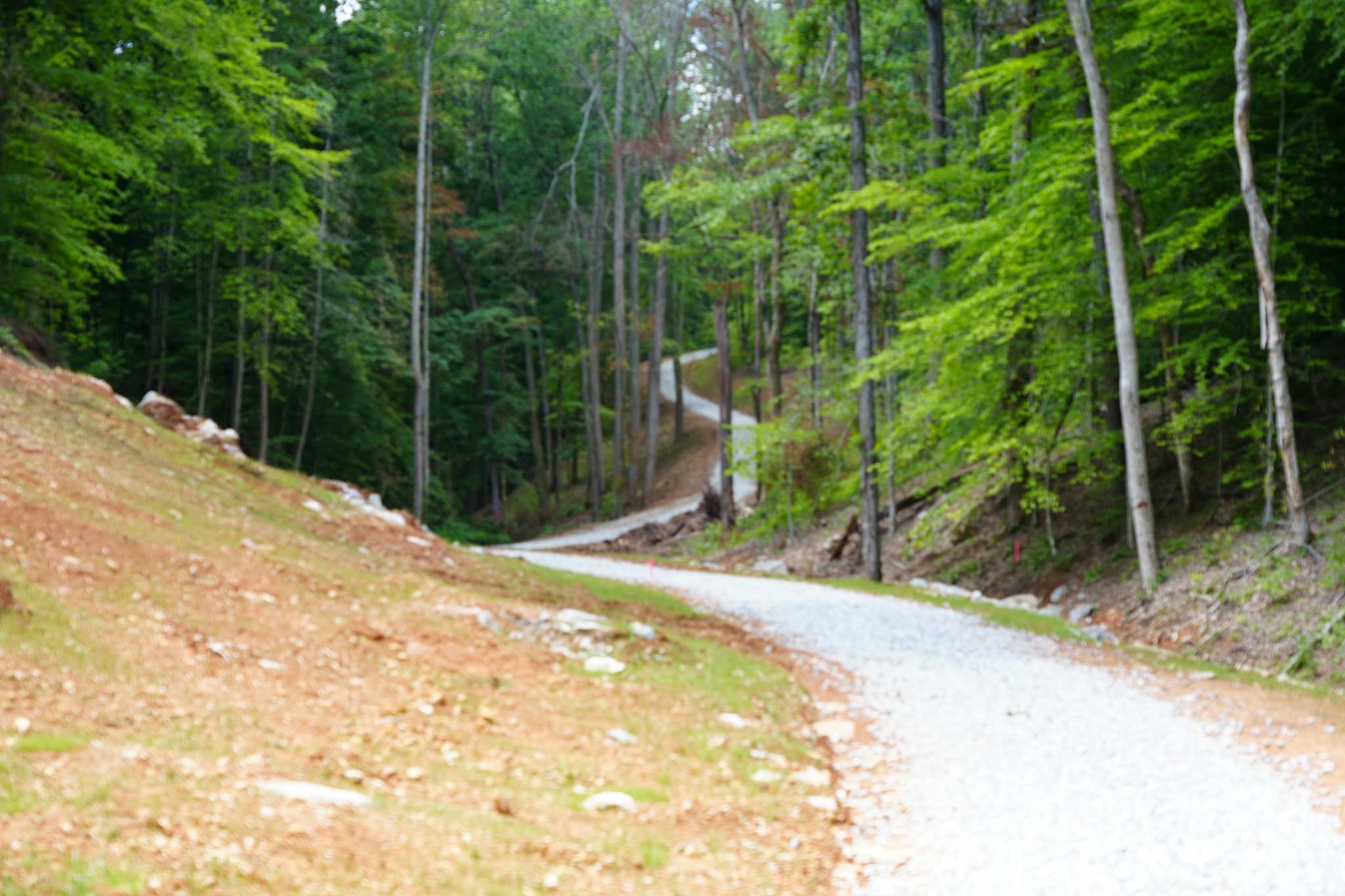 1 Budds Creek Road Palmyra, TN 37142 - Photo 24 of 76