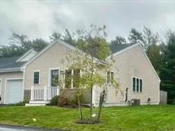 a view of backyard with a garden and plants