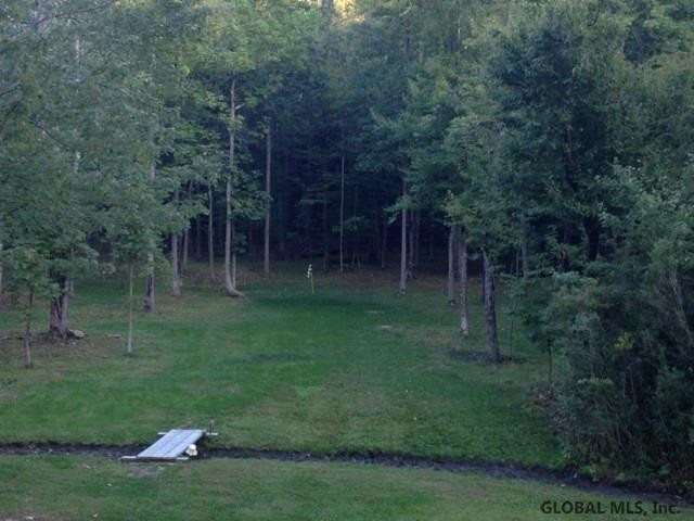702 Gutha Road Delanson, NY 12053 - Photo 3 of 25 Photo 3