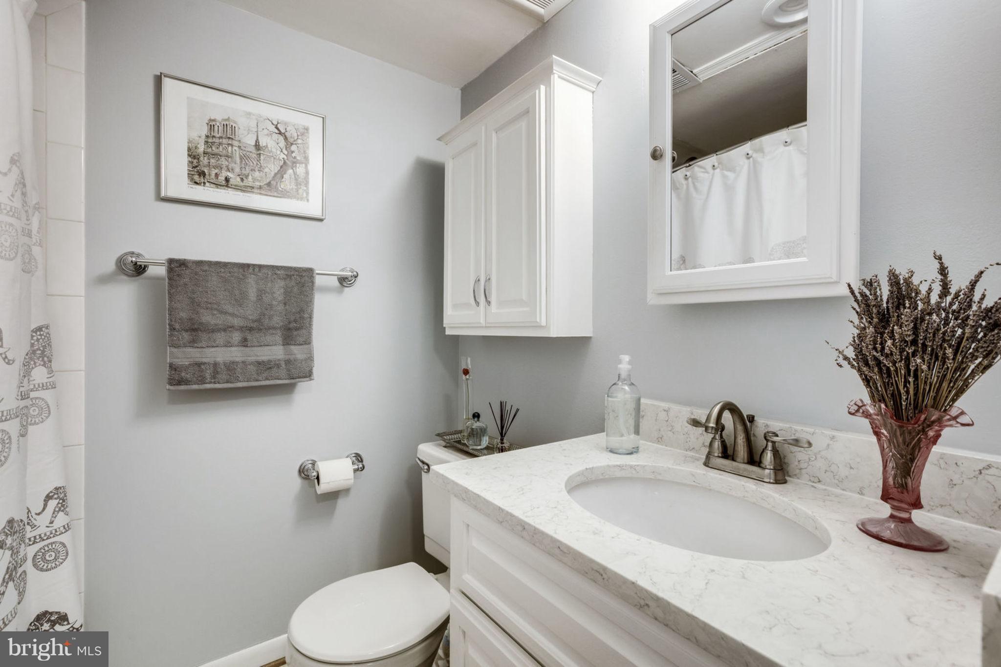 5 Russell Road, Unit B Alexandria, VA 22301 - Photo 13 of 30 Bath