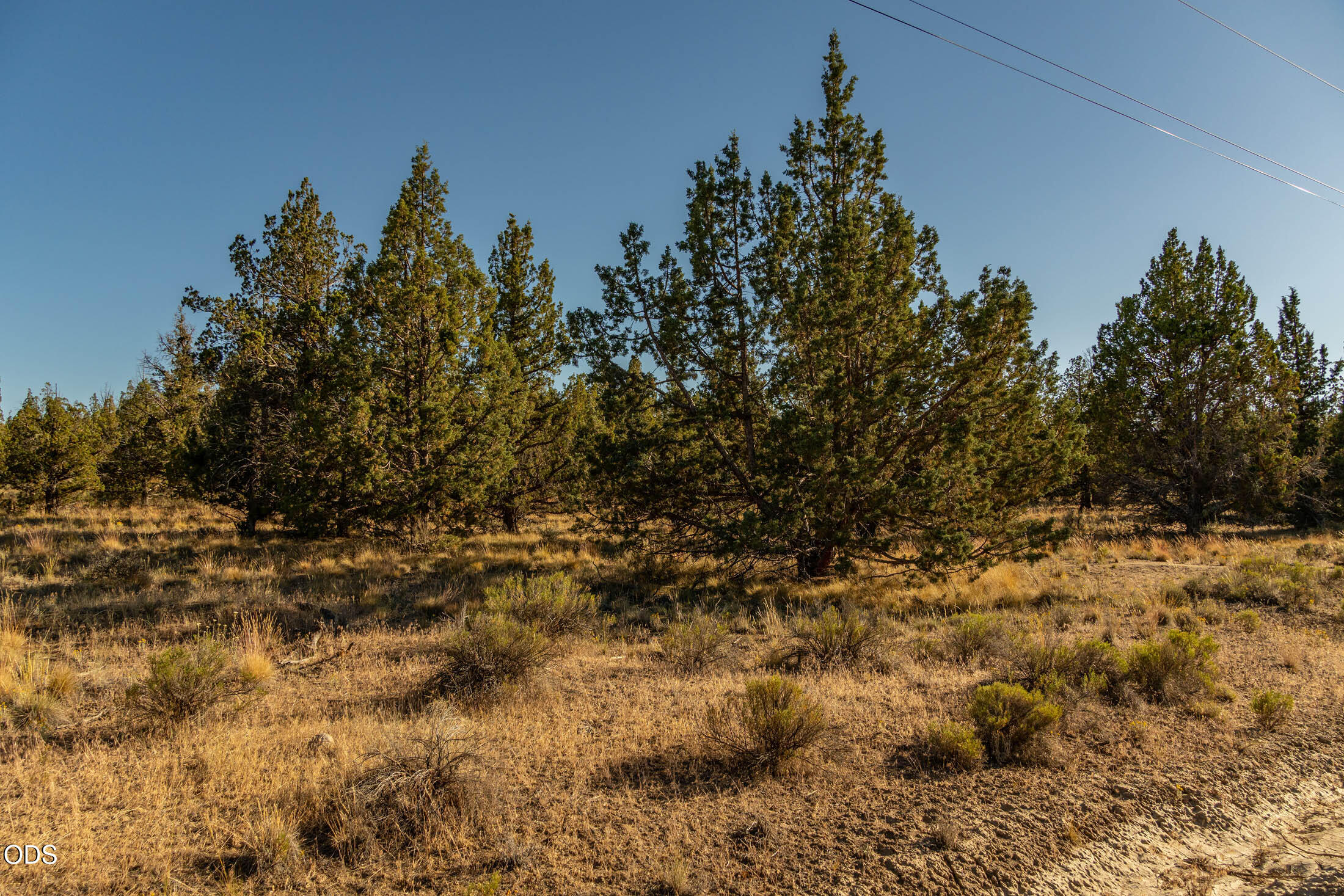 Southeast Zuni Road Prineville, OR 97754 - Photo 11 of 20