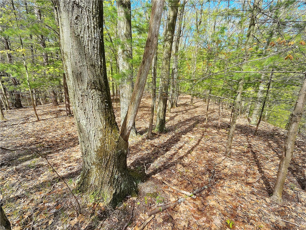613 East Lake Road Penn Yan, NY 14527 - Photo 21 of 35